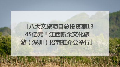 八大文旅项目总投资额13.45亿元！江西新余文化旅游（深圳）招商推介会举行