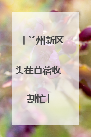 兰州新区头茬苜蓿收割忙