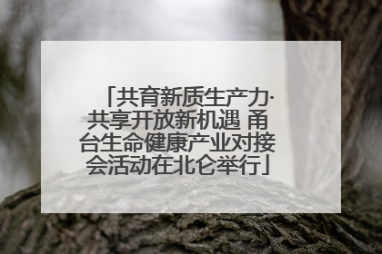 共育新质生产力·共享开放新机遇 甬台生命健康产业对接会活动在北仑举行