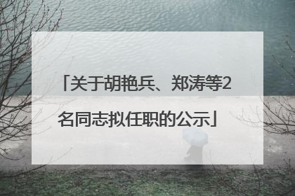 关于胡艳兵、郑涛等2名同志拟任职的公示