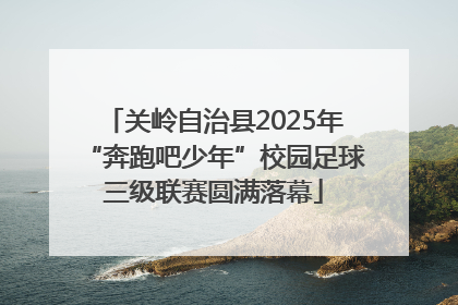 关岭自治县2025年“奔跑吧少年”校园足球三级联赛圆满落幕
