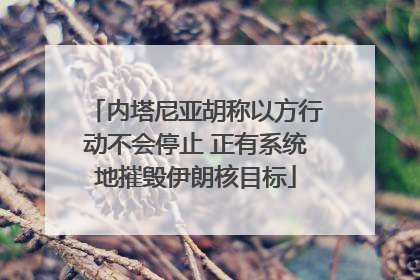 内塔尼亚胡称以方行动不会停止 正有系统地摧毁伊朗核目标