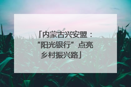 内蒙古兴安盟：“阳光银行”点亮乡村振兴路