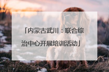 内蒙古武川：联合综治中心开展培训活动