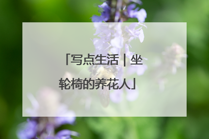 写点生活｜坐轮椅的养花人