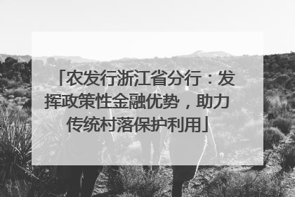 农发行浙江省分行：发挥政策性金融优势，助力传统村落保护利用