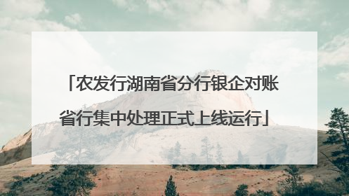 农发行湖南省分行银企对账省行集中处理正式上线运行