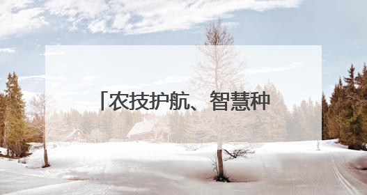 农技护航、智慧种田 三夏时节各地都在抢农时 忙耕种