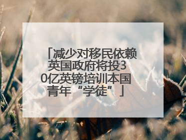 减少对移民依赖 英国政府将投30亿英镑培训本国青年“学徒”
