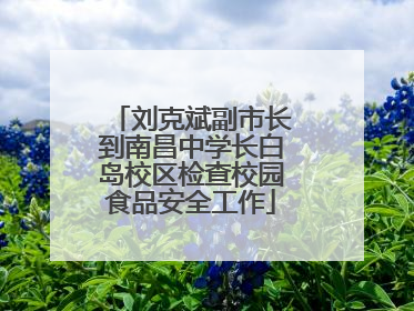 刘克斌副市长到南昌中学长白岛校区检查校园食品安全工作