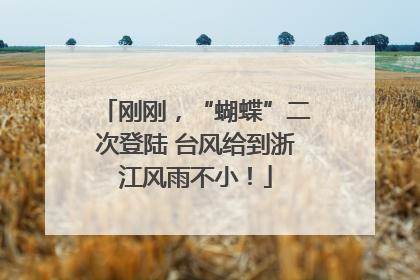 刚刚，“蝴蝶”二次登陆 台风给到浙江风雨不小！