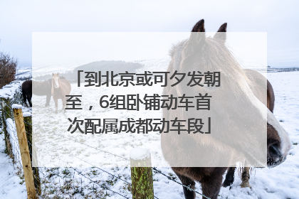到北京或可夕发朝至，6组卧铺动车首次配属成都动车段