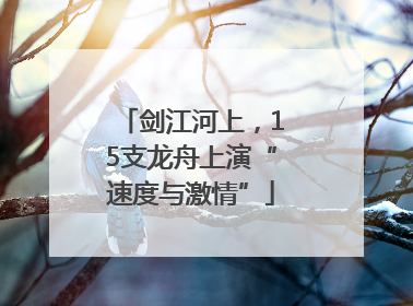 剑江河上，15支龙舟上演“速度与激情”