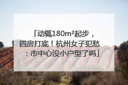动辄180m²起步，四房打底！杭州女子犯愁：市中心没小户型了吗