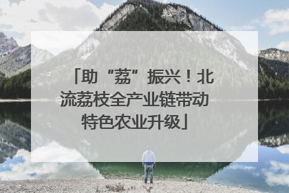 助“荔”振兴！北流荔枝全产业链带动特色农业升级