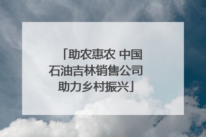 助农惠农 中国石油吉林销售公司助力乡村振兴