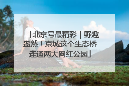 北京号最精彩｜野趣盎然！京城这个生态桥连通两大网红公园