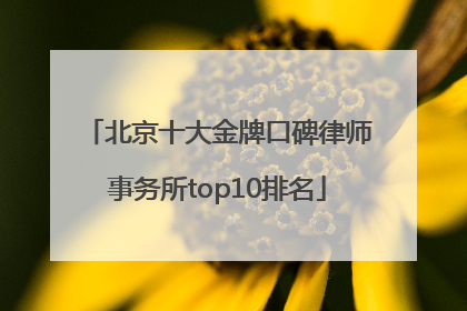 北京十大金牌口碑律师事务所top10排名
