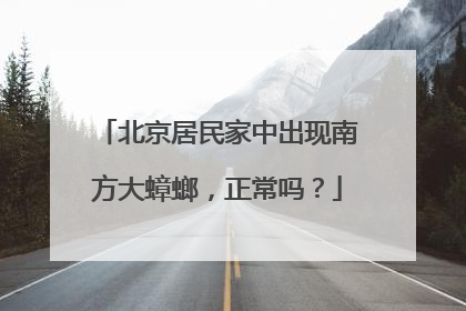 北京居民家中出现南方大蟑螂，正常吗？