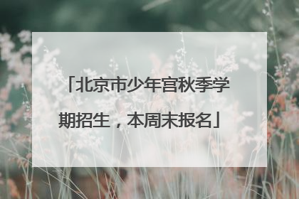 北京市少年宫秋季学期招生，本周末报名
