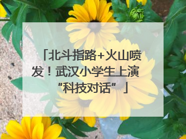 北斗指路+火山喷发！武汉小学生上演“科技对话”