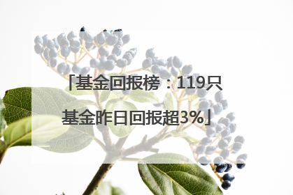 基金回报榜：119只基金昨日回报超3%