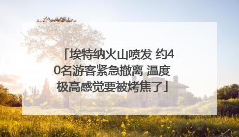 埃特纳火山喷发 约40名游客紧急撤离 温度极高感觉要被烤焦了
