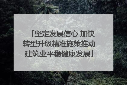 坚定发展信心 加快转型升级精准施策推动建筑业平稳健康发展