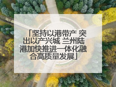 坚持以港带产 突出以产兴城 兰州陆港加快推进一体化融合高质量发展
