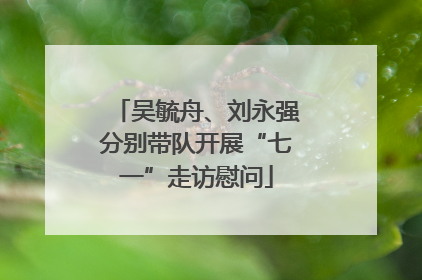 吴毓舟、刘永强分别带队开展“七一”走访慰问
