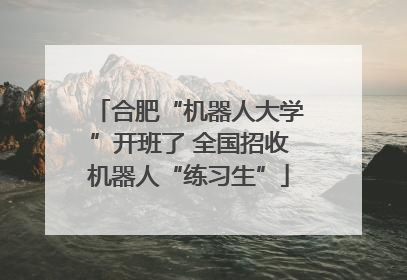 合肥“机器人大学”开班了 全国招收机器人“练习生”