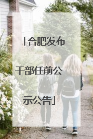 合肥发布干部任前公示公告