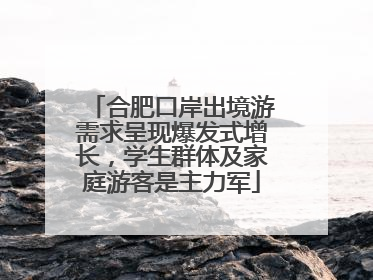 合肥口岸出境游需求呈现爆发式增长，学生群体及家庭游客是主力军