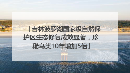 吉林波罗湖国家级自然保护区生态修复成效显著，珍稀鸟类10年增加5倍