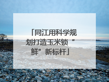 同江用科学规划打造玉米锁“鲜”新标杆