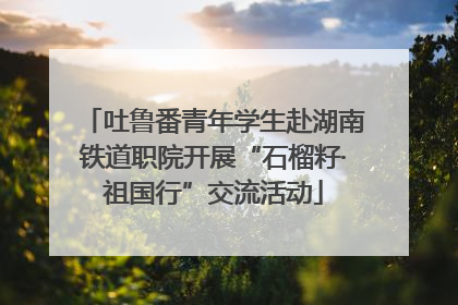 吐鲁番青年学生赴湖南铁道职院开展“石榴籽·祖国行”交流活动