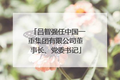 吕智强任中国一重集团有限公司董事长、党委书记