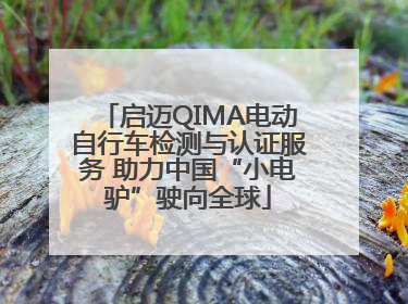启迈QIMA电动自行车检测与认证服务 助力中国“小电驴”驶向全球