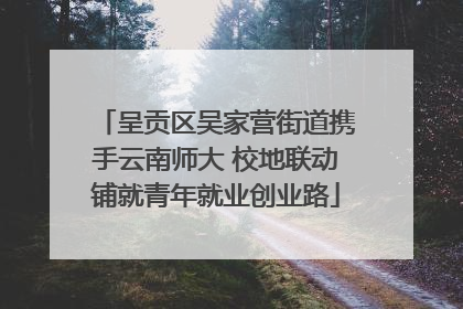 呈贡区吴家营街道携手云南师大 校地联动铺就青年就业创业路
