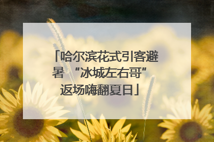 哈尔滨花式引客避暑 “冰城左右哥”返场嗨翻夏日