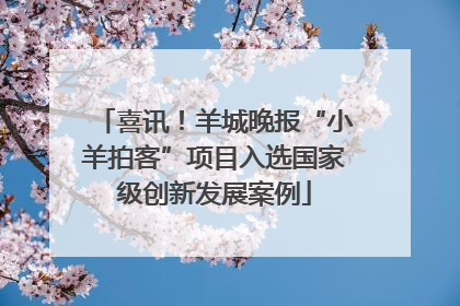 喜讯！羊城晚报“小羊拍客”项目入选国家级创新发展案例