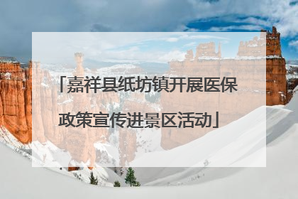 嘉祥县纸坊镇开展医保政策宣传进景区活动