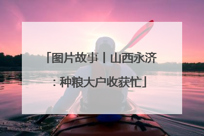 图片故事丨山西永济：种粮大户收获忙