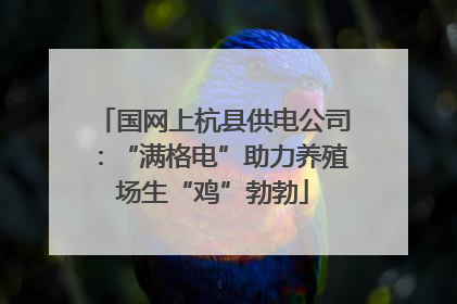 国网上杭县供电公司：“满格电”助力养殖场生“鸡”勃勃