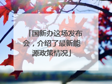 国新办这场发布会，介绍了最新能源政策情况