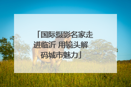国际摄影名家走进临沂 用镜头解码城市魅力