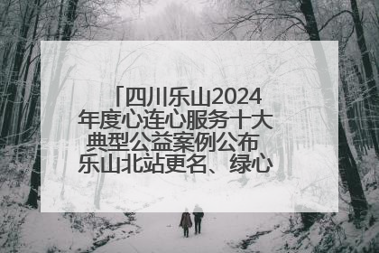 四川乐山2024年度心连心服务十大典型公益案例公布 乐山北站更名、绿心路井盖治理等上榜