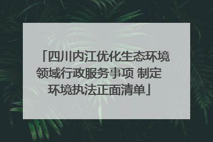四川内江优化生态环境领域行政服务事项 制定环境执法正面清单