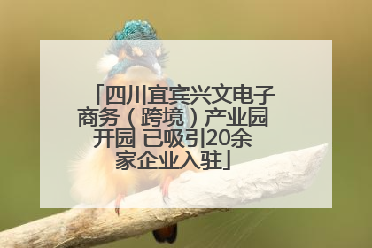 四川宜宾兴文电子商务（跨境）产业园开园 已吸引20余家企业入驻