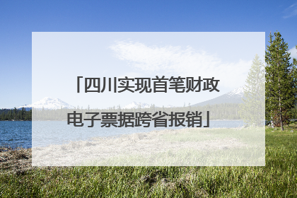 四川实现首笔财政电子票据跨省报销